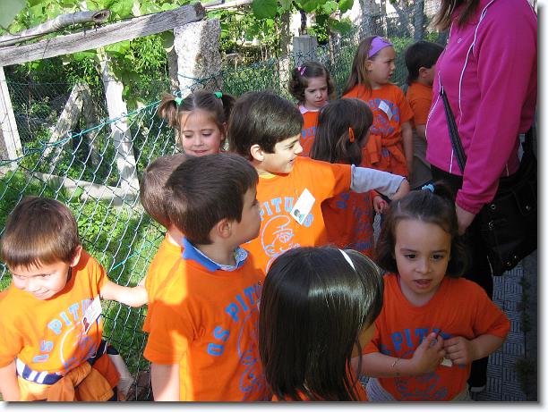 Diapositiva siguiente